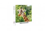 Leporelo 90x90 ZOO