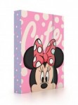 Desky škol.A5 box Minnie