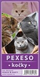 Pexeso vystřihovací - Kočky