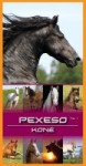 Pexeso vystřihovací - Koně