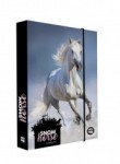 Desky škol.A5 box JUMBO Kůň