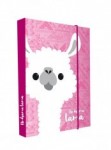 Desky škol.A4 box JUMBO Lama