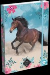 Desky škol.A4 box Wild Beauty Blue