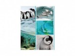 Fotoalbum 10x15 300F Fauna