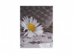 Fotoalbum 10x15 100F B6