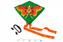 Drak PE 27x33cm Motýl