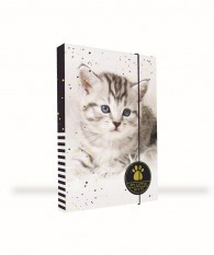 Desky škol.A4 box Kočka