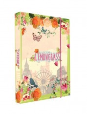Desky škol.A4 box JUMBO Lemongrass
