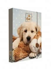Desky škol.A4 box JUMBO Be mine