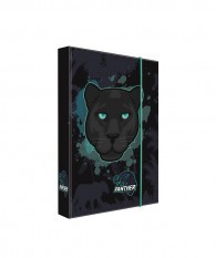 Desky škol.A5 box Panter