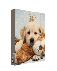 Desky škol.A5 box Jumbo Be mine