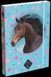 Desky škol.A5 box Wild Beauty Blue