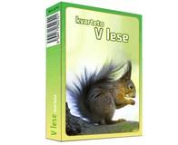 Karty Kvarteto - V lese