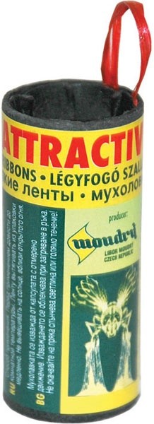 Mucholapka 31