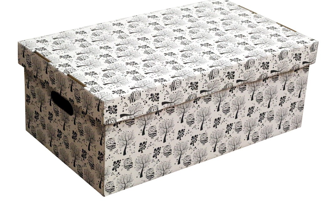 Krabice papírová 55x32x21