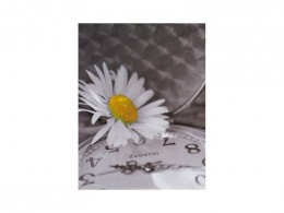 Fotoalbum 10x15 100F B6